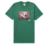 Supreme MF Doom Light Pine Tee