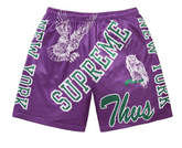Supreme Varsity Mesh Short Purple
