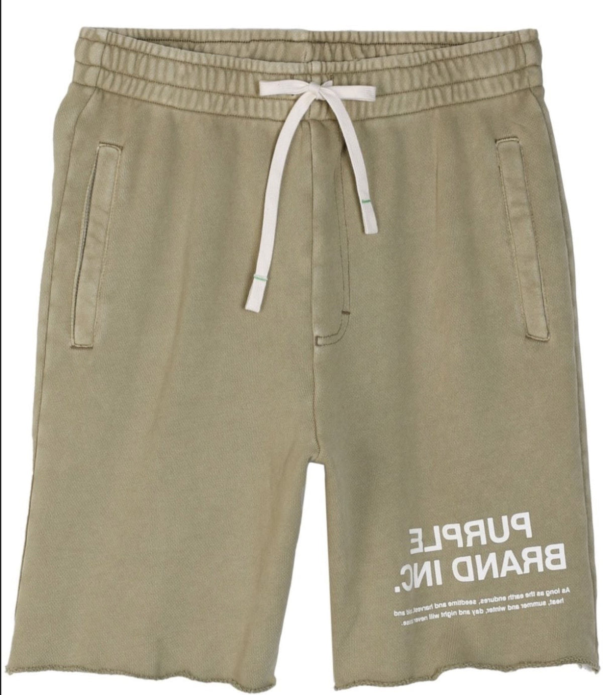 Purple Brand Logo Print Track Shorts Green