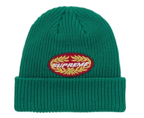Supreme Terminal Beanie Green