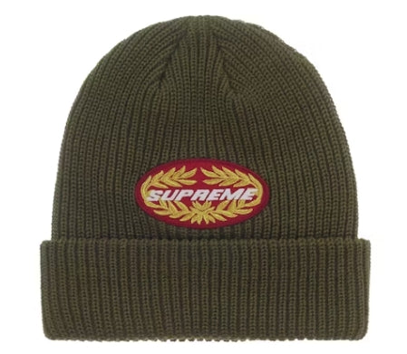 Supreme Terminal Beanie Olive