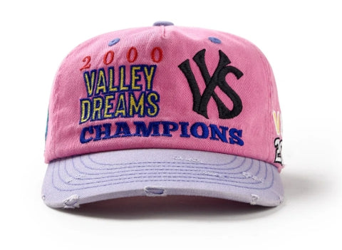 VALE FOREVER PIGGY BANK SNAP HAT