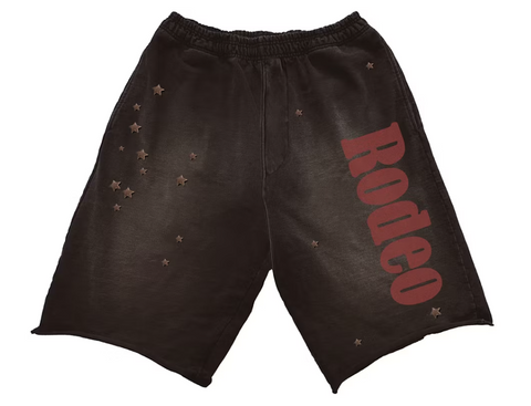 Travis Scott Cactus Jack x Sp5der Days Before Rodeo Shorts